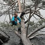 Fred Fredrik Mathé Milner - @fredmathem - Instagram