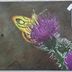 Fred Mantz - Facebook