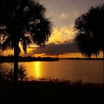 fred modugno - @fredmodugno - Instagram