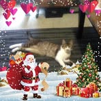 Fred Mongeau - Facebook