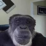 Fred Monk - @monical_thr77567 - Instagram