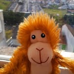Fred_monkey - @fred_monkey_ - Instagram