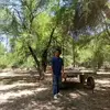 Fredi Monreal - @fredimonreal - TikTok