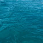Fred Montini - @fredmontini - Instagram