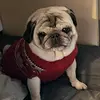 Fred Moon - @fred.moon3 - TikTok