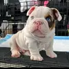 fredy mora - @fredy.mora61 - TikTok