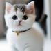 Antony Fred Morre - Facebook