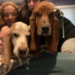 Fred Mortimer & Millie Mae - @fred_mortimer.millie_mae - Instagram