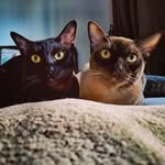 Fred@Morty - @fredandmorty - Instagram