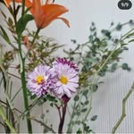 Fred moses - @fredmoses346 - Instagram