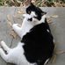 Fred Sally Mott - Facebook