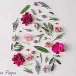 Fred Muniz - @fred.muniz1953 - Instagram