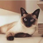 Fred Muniz Croesy - @fredmunizcroesy - Instagram