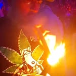 Fred Munro - @rastafred420 - Instagram