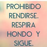 Cielo Fred Florez Narvaez - @cielofredfloreznarvaez - Instagram