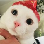 Fred - @fred._navarro - Instagram