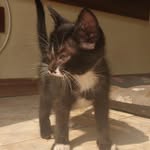 Frederico - @fred_navarro015 - Instagram