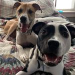 Fred And Louise Naylor - @fred_and_louise - Instagram