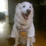Fred Neal - @frednealisright - Instagram