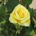 Fred Neilson - Facebook