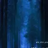 Fred neilson - @fred4236 - TikTok