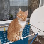 Alfred Neubauer - @alfred.neubauer.33 - Instagram
