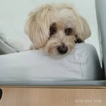Fred Neubauer - @fredneubauer1 - Instagram