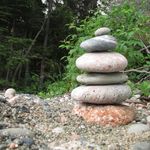 Freddie Neufeld - @fjneufeld - Instagram