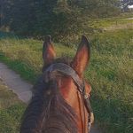 Frederike Neuhaus - @neuhausfrederike - Instagram