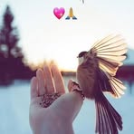 Nabil Fred - Facebook