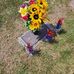Fred Nemitz - Facebook