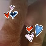 Fredney Daniel Ruiz - @fredneyruiz - Instagram