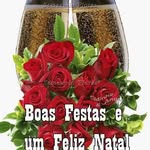 Fred Nicolas - @fritznicolas5 - Instagram