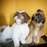 Fred&Nicolly - @fred_nicolly - Instagram