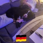 Fred Nießen - @niessen.fred - Instagram