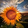 Fred_noah77 - @fred_noah77 - TikTok