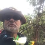 Fred Noel - @fred.noel.974 - Instagram