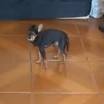 Fred Nolasco - @fred.nolasco - Instagram