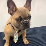 Fred_nolasco - @pai_do_fred - Instagram