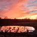 Fred Nolen - Facebook