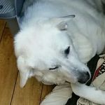 Fred North - @frednorth57 - Instagram