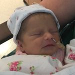 💥💥Fred North Priv💥💥 - @little_one_the_famous - Instagram