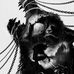 Frederick Northrup - Facebook