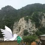 Fred Nott - @fred.nott.9 - Instagram