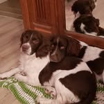 Fred Nowak - @frednowak8 - Instagram