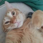 Fred Nowland - @fredder.fred - Instagram