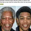 fredlinenuma - @fredlinenuma - TikTok