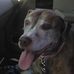 Fred Nussbaum - Facebook