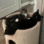 Fred Nussbaum - @frednussbaum - Instagram