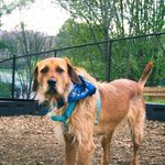 Fred Oesch - @fred.oesch - Instagram